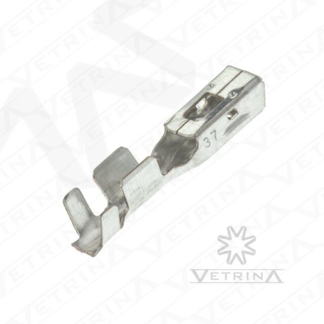 Terminal Fêmea APEX