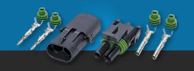 KIT WP MD (1)